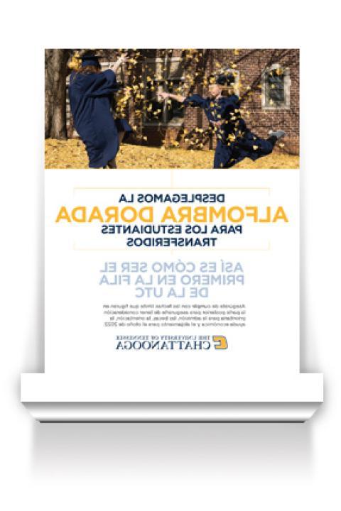 Gold Carpet Flyer for Transfer Spanish